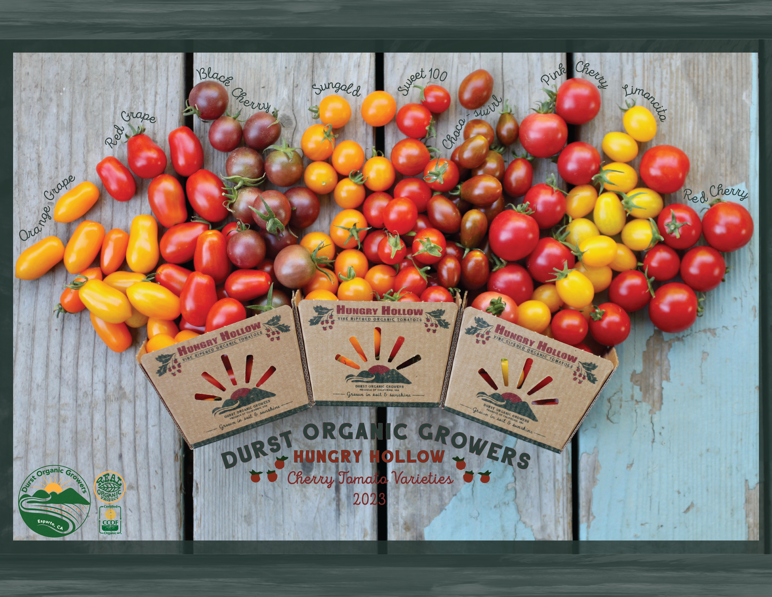 Cherry Tomatoes — Durst Organic Growers